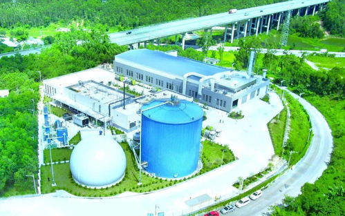 江門市區(qū)餐廚垃圾收運(yùn)處置機(jī)制詳解 新聞發(fā)布會(huì)全回顧